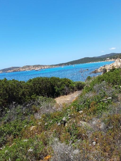 Chia - Casarosa Villa Domus De Maria Eksteriør bilde